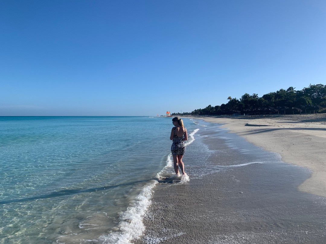 Hotel Media International主图