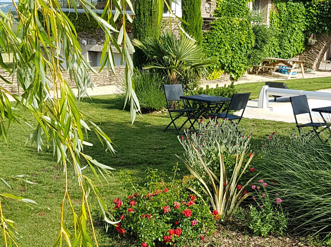 Relais de Navon主图