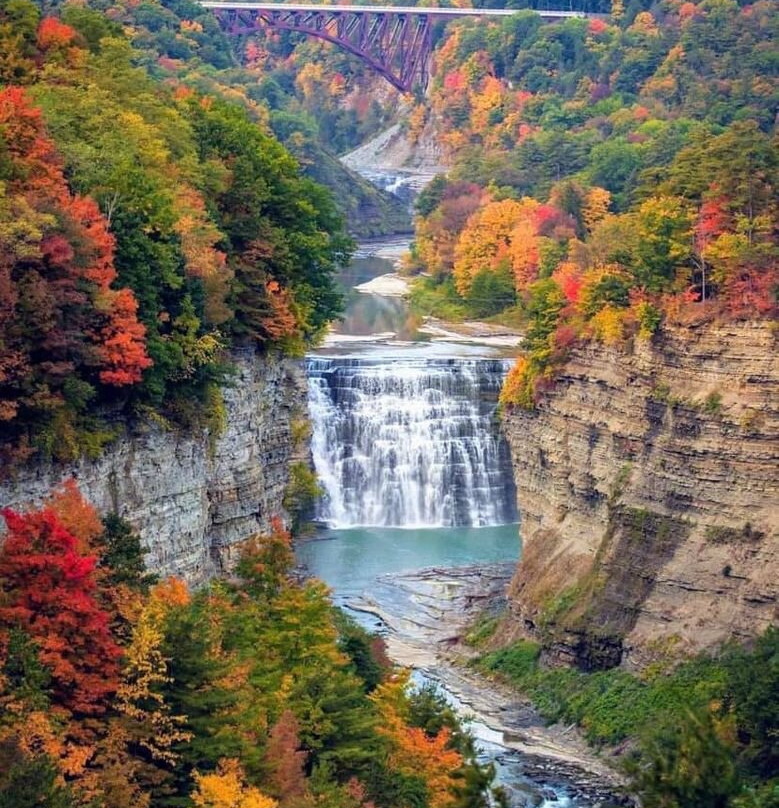 The Old Library Inn主图