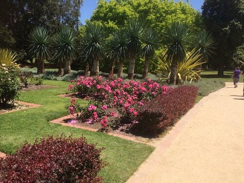 St Kilda Botanical Gardens-圣基尔达必去景点