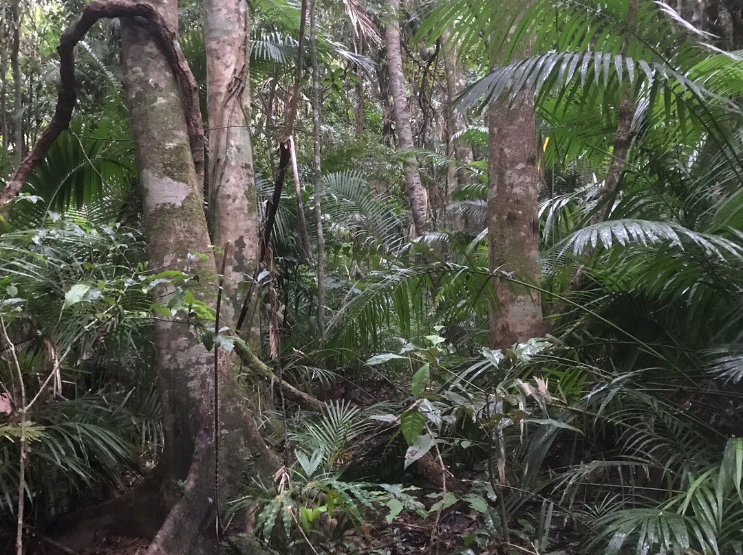 Glacier Rock Lookout-库兰达必去景点