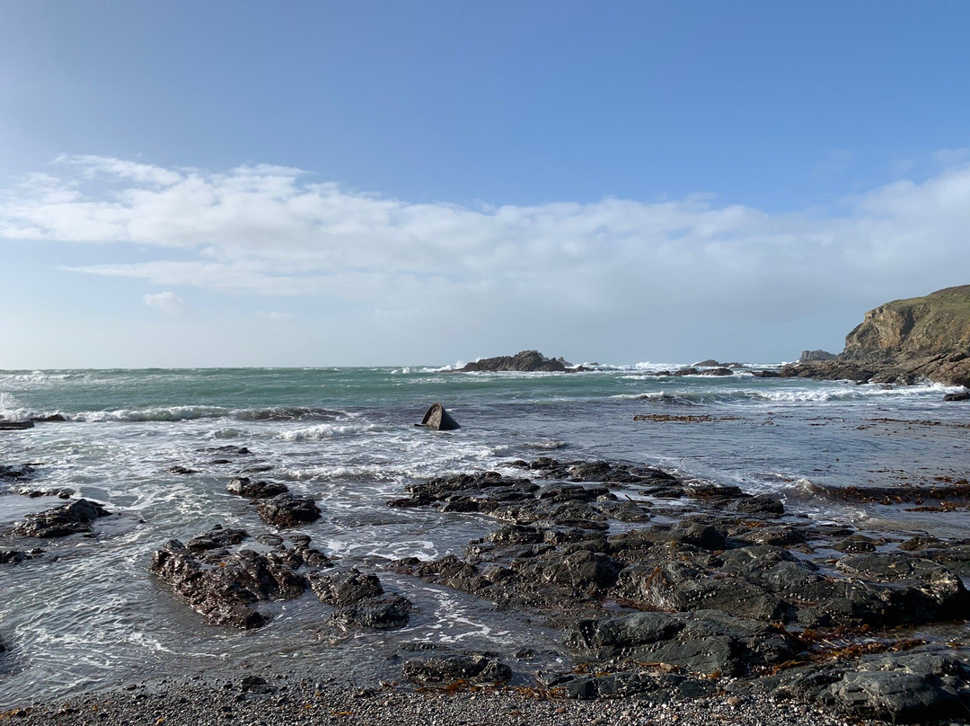 The Lizard RNLI Lifeboat Station-Lizard必去景点