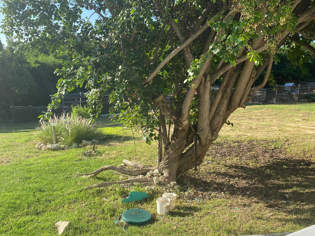 Le Soleil Levant Resort & SPA主图