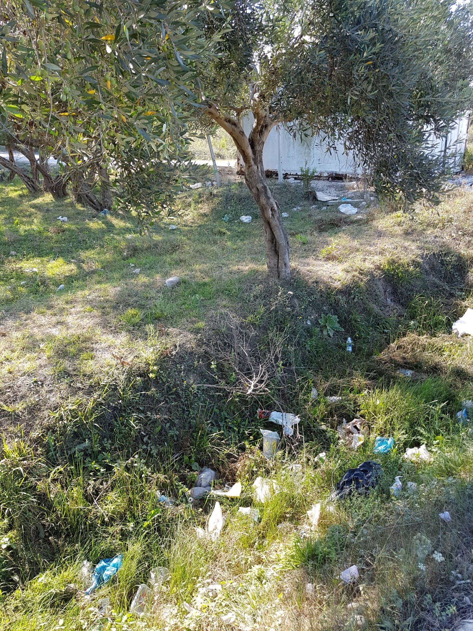 Hotel Jerolda Vlore-官方