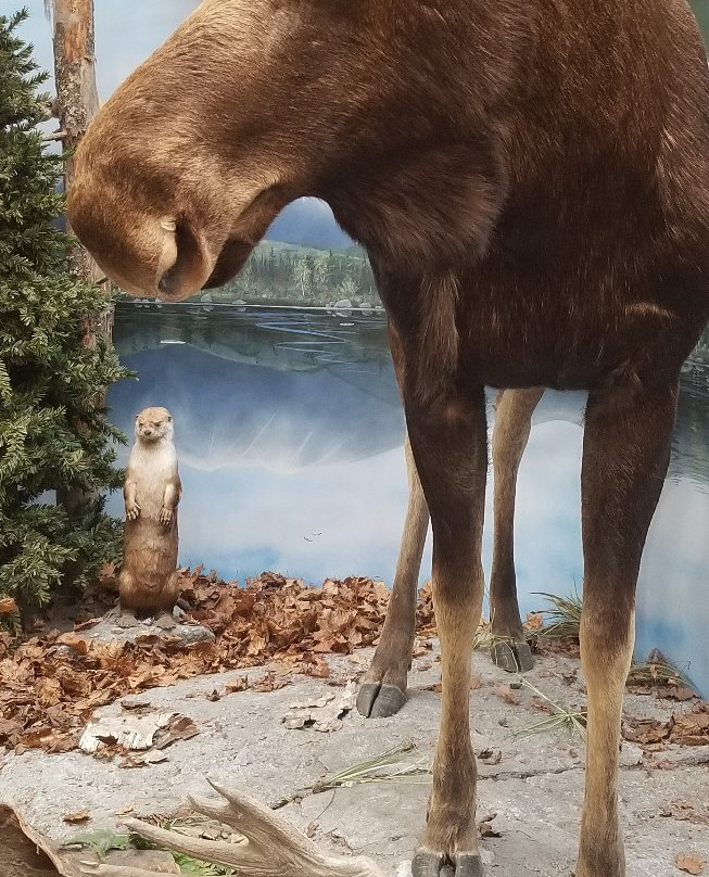 Kittery Trading Post-Kittery必去景点