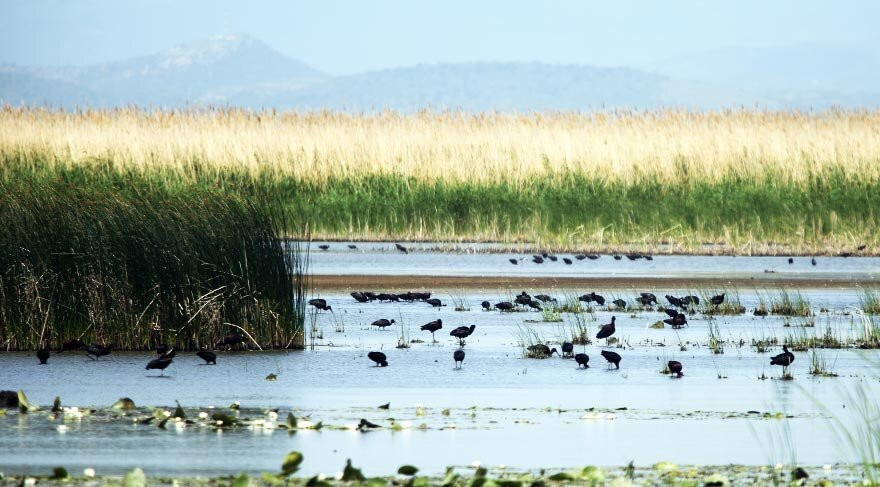 Gala Golu Milli Parki-Ipsala必去景点