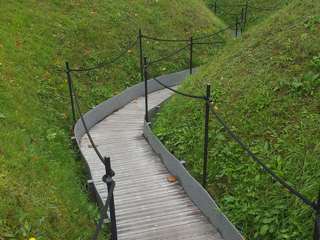 Mémorial Terre-neuvien De Beaumont-hamel景点图片