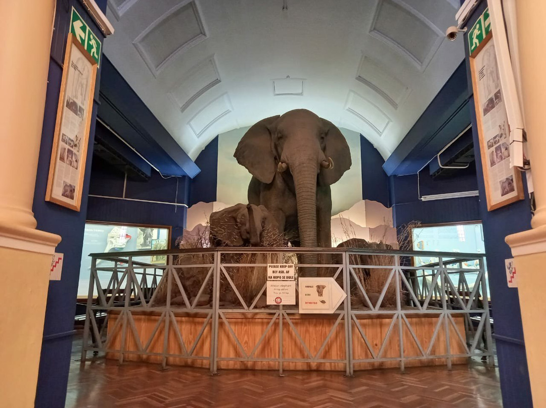 The National Museum-布隆方丹必去景点