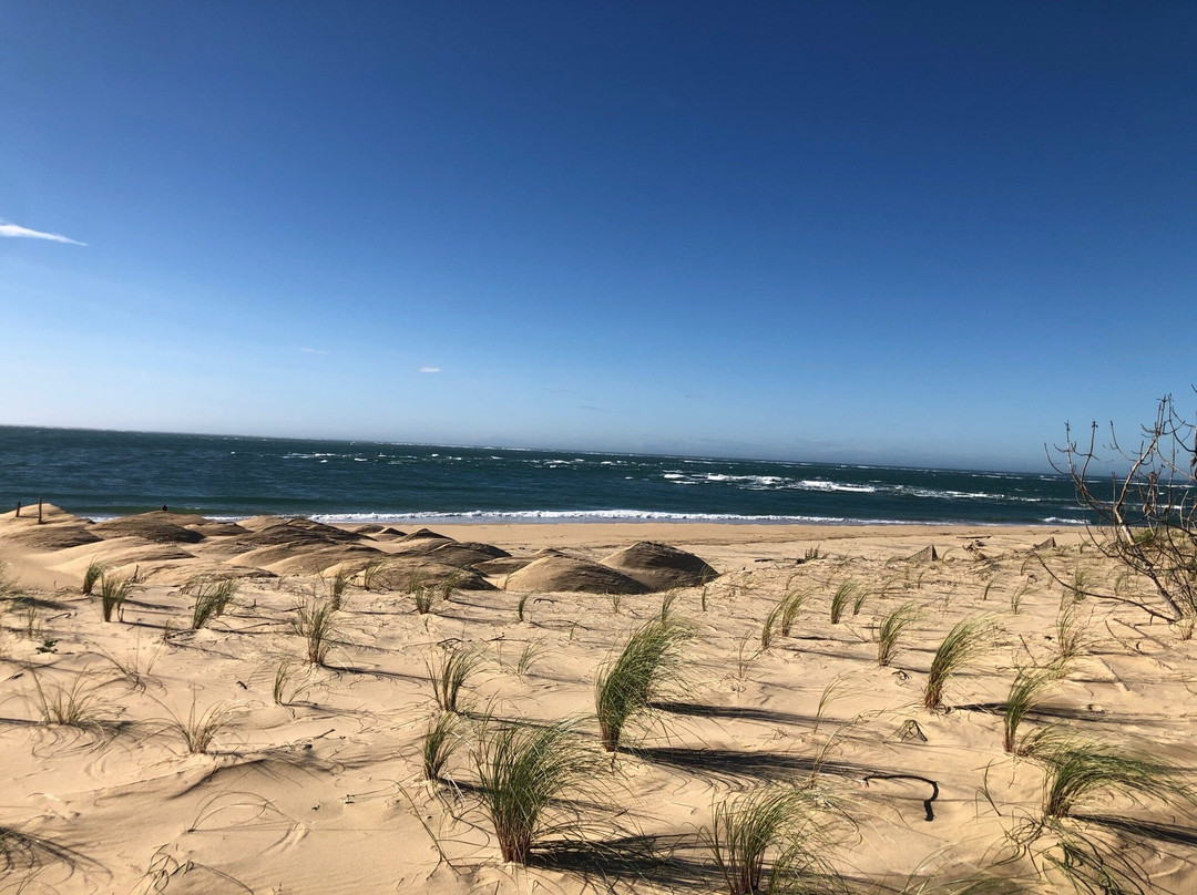 La Pointe du Cap Ferret景点图片