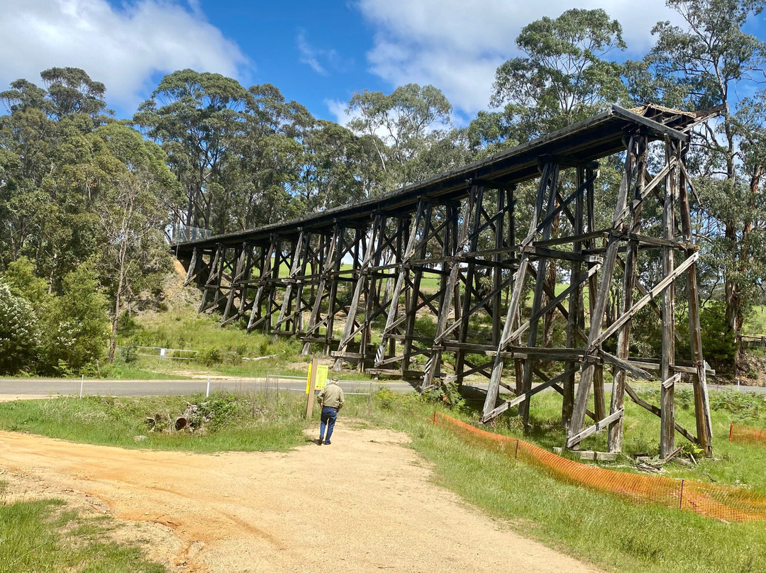 Wairewa Trestle Rail Bridge-Nowa Nowa必去景点