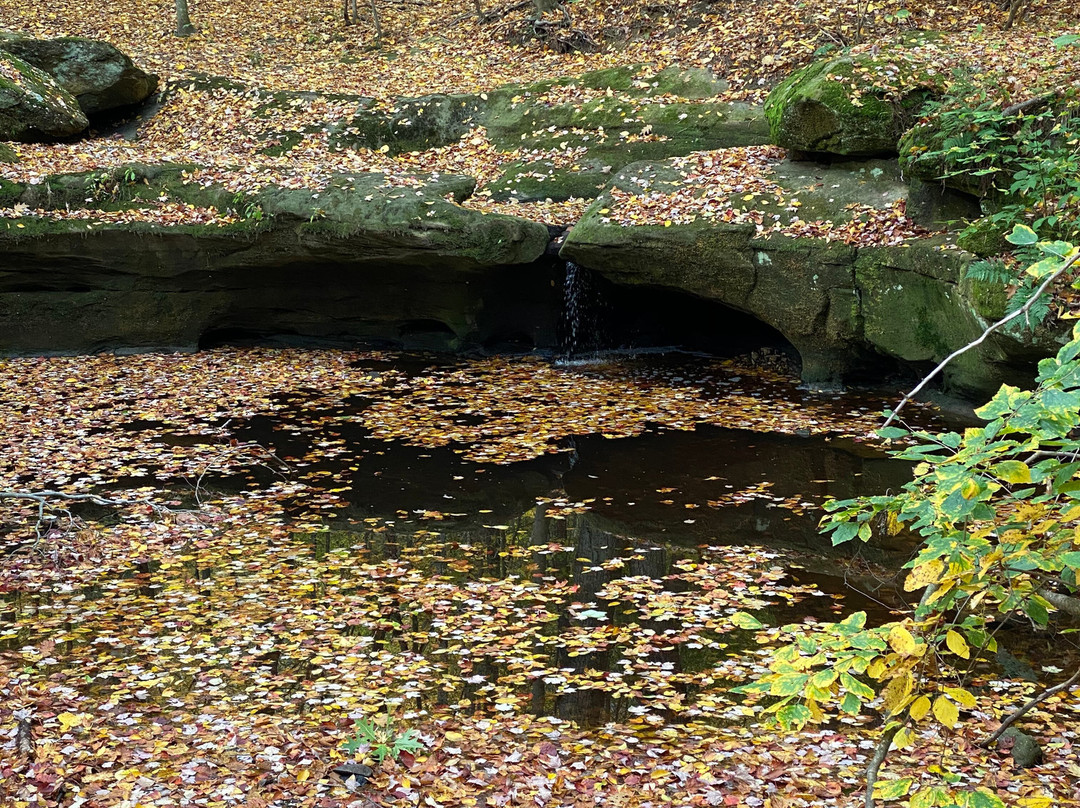 The West Woods-Novelty必去景点