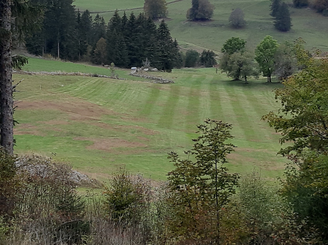 Golf du Mont Saint-Jean景点图片