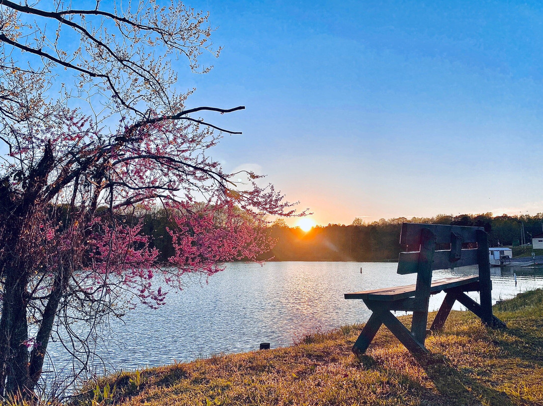 Lake Thom-A-Lex Park景点图片