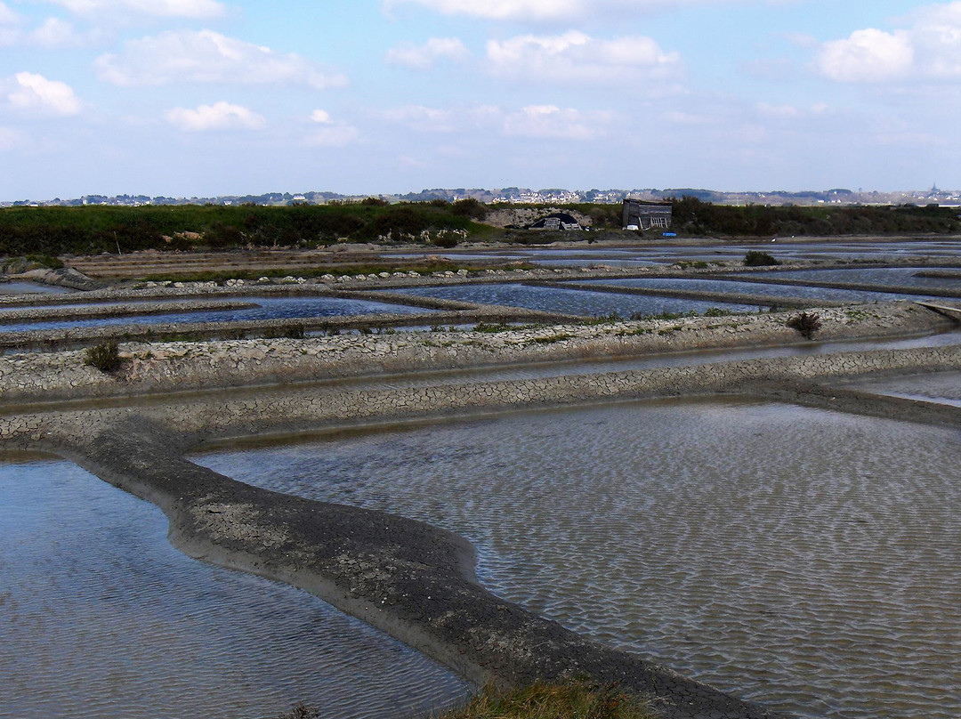 Marais Salants de Guerande景点图片