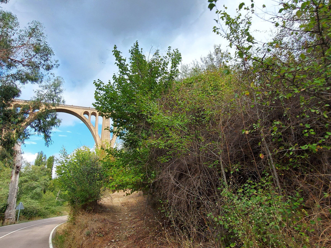 Viaducto De Guadalupe景点图片