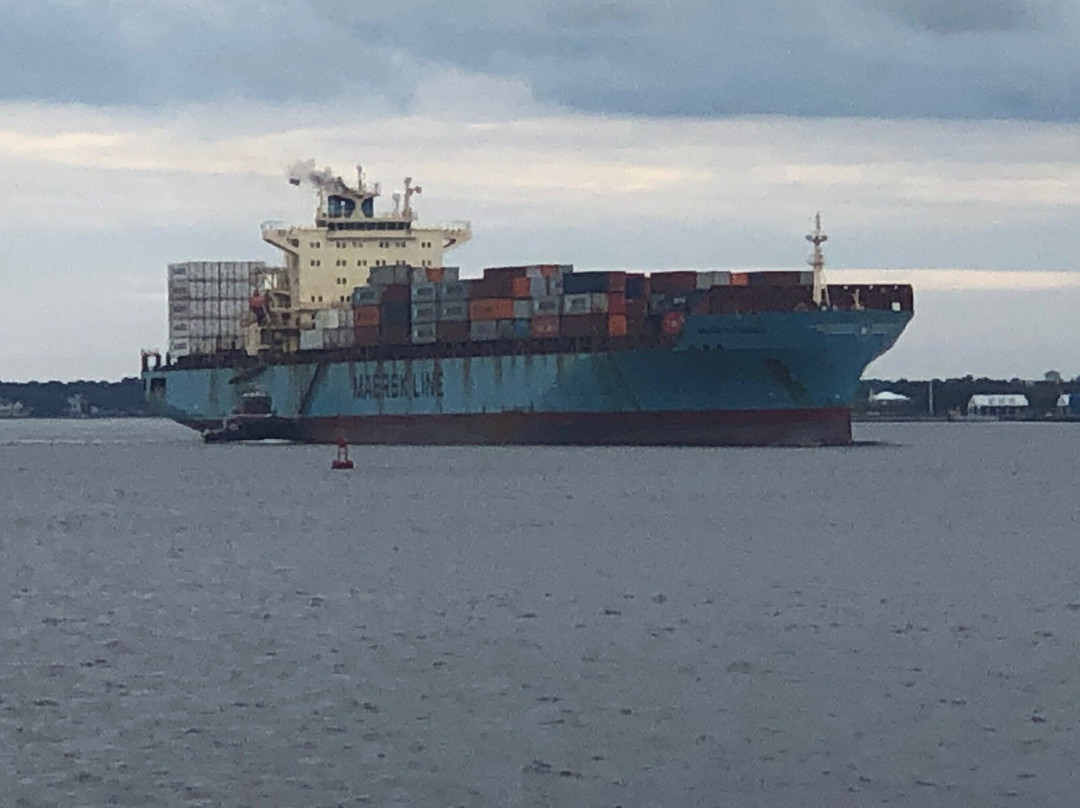 Charlotte Harbor Tours-恩格尔伍德必去景点