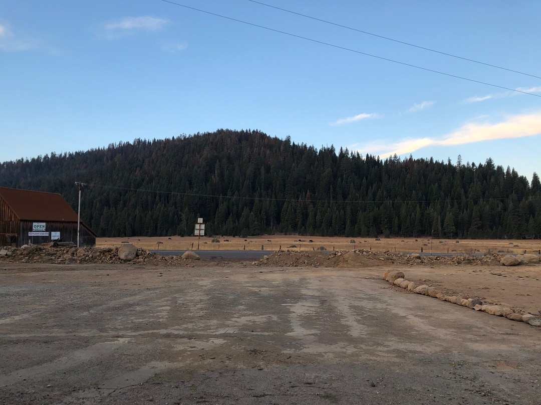 The Village at Childs Meadow主图