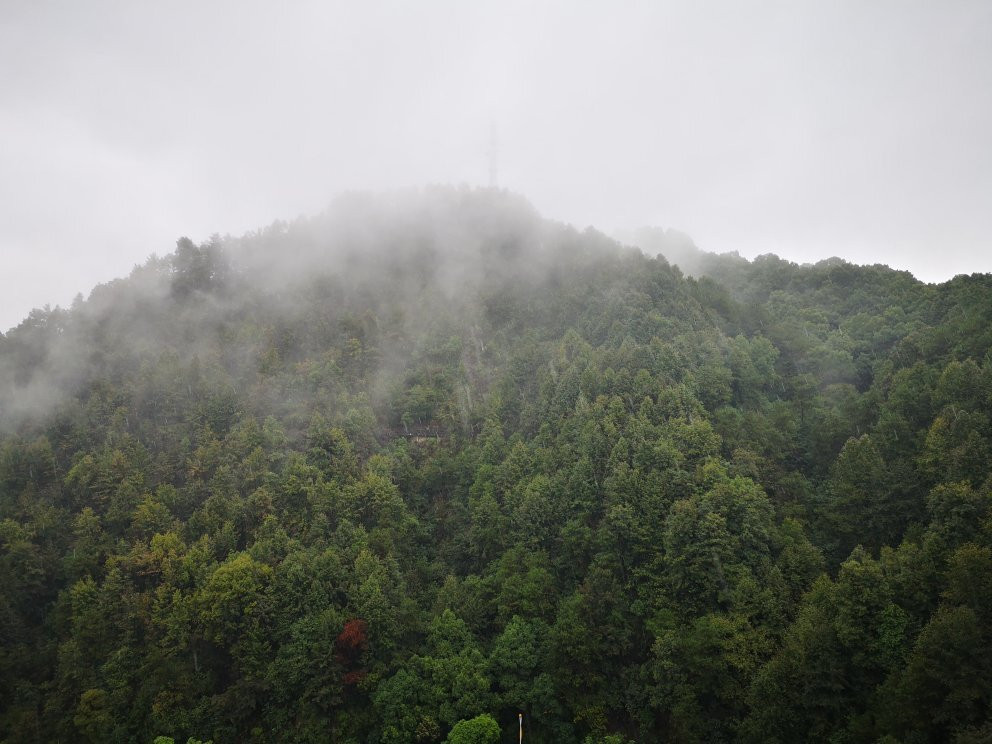 重庆南山景点图片