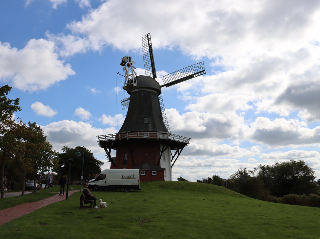 Greetsieler Zwillingsmuhlen-Greetsiel必去景点
