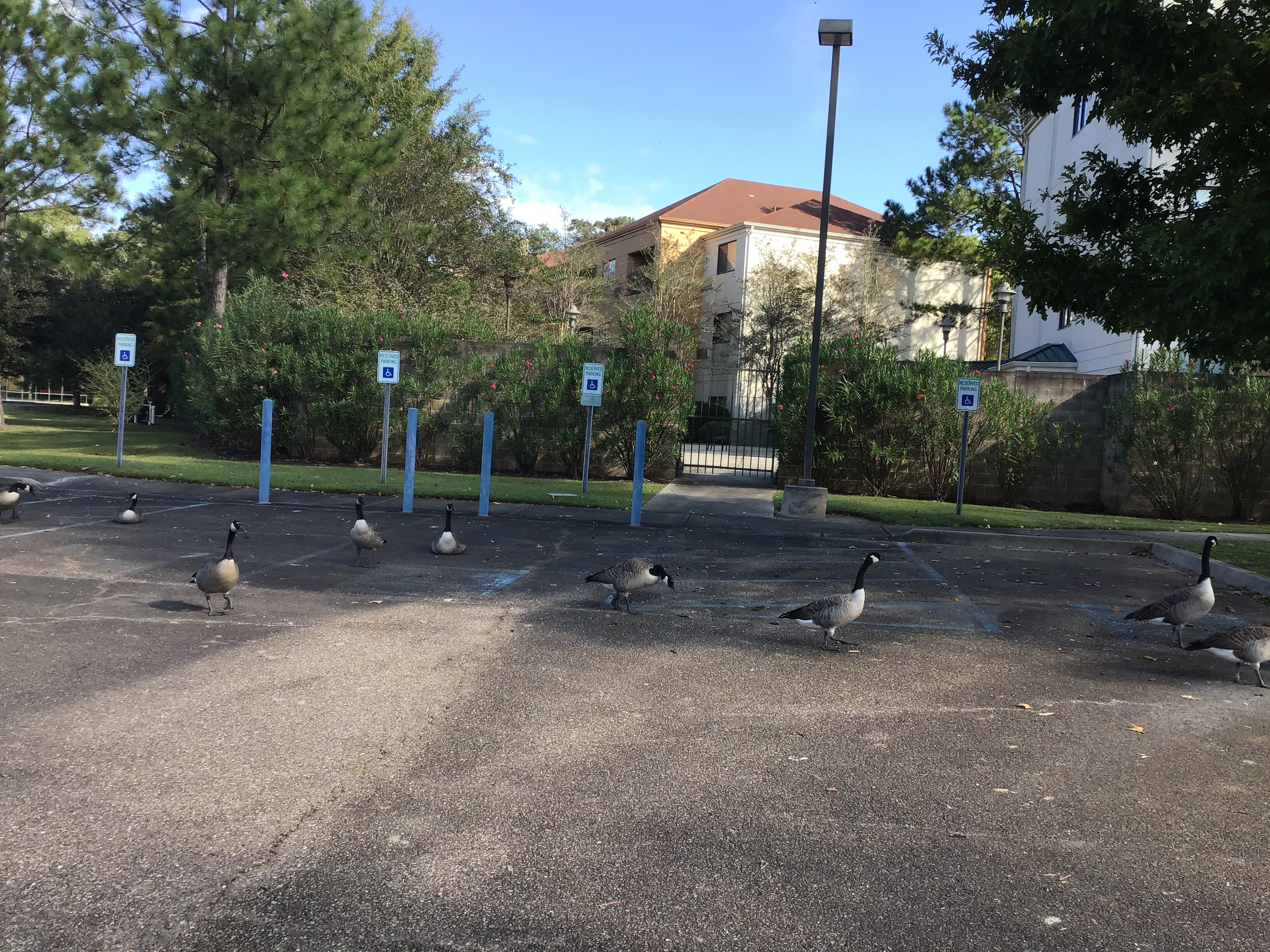 Courtyard by Marriott New Orleans Covington/Mandeville-浴室