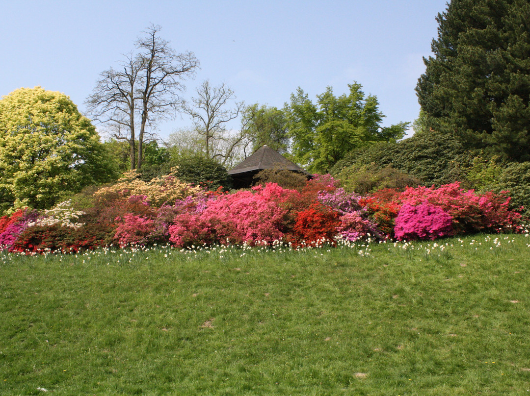 Botanical garden Rombergpark景点图片
