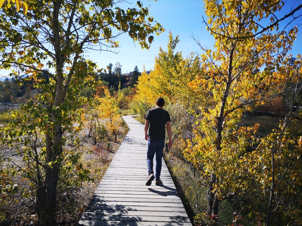 James Chabot Provincial Park景点图片