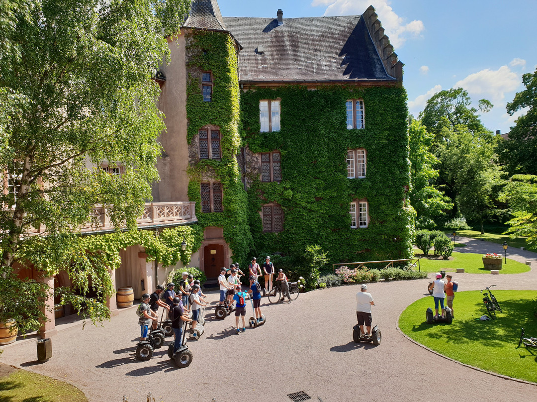 Chateau de la Confrérie Saint-Etienne景点图片