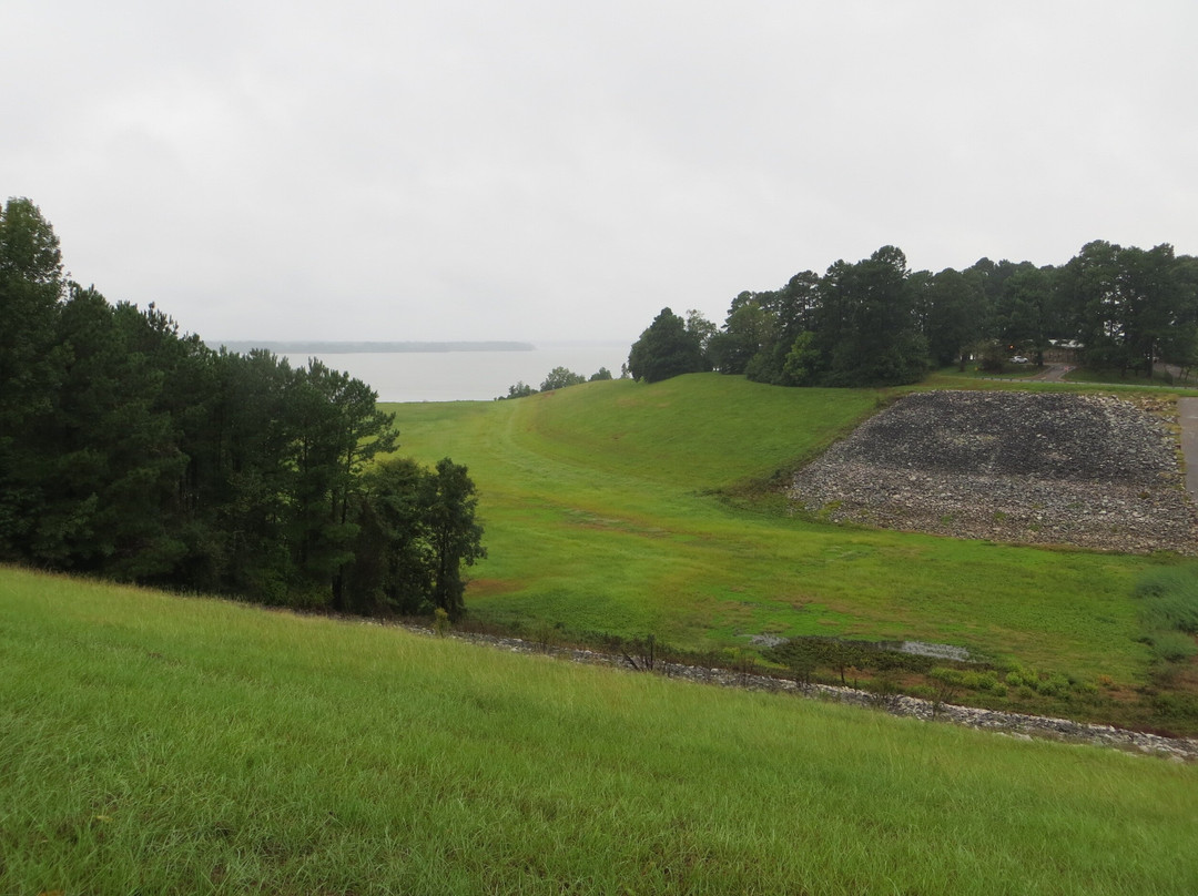 Queen City旅游攻略图片