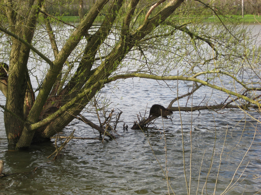 La Pointe Bouchemaine-Bouchemaine必去景点
