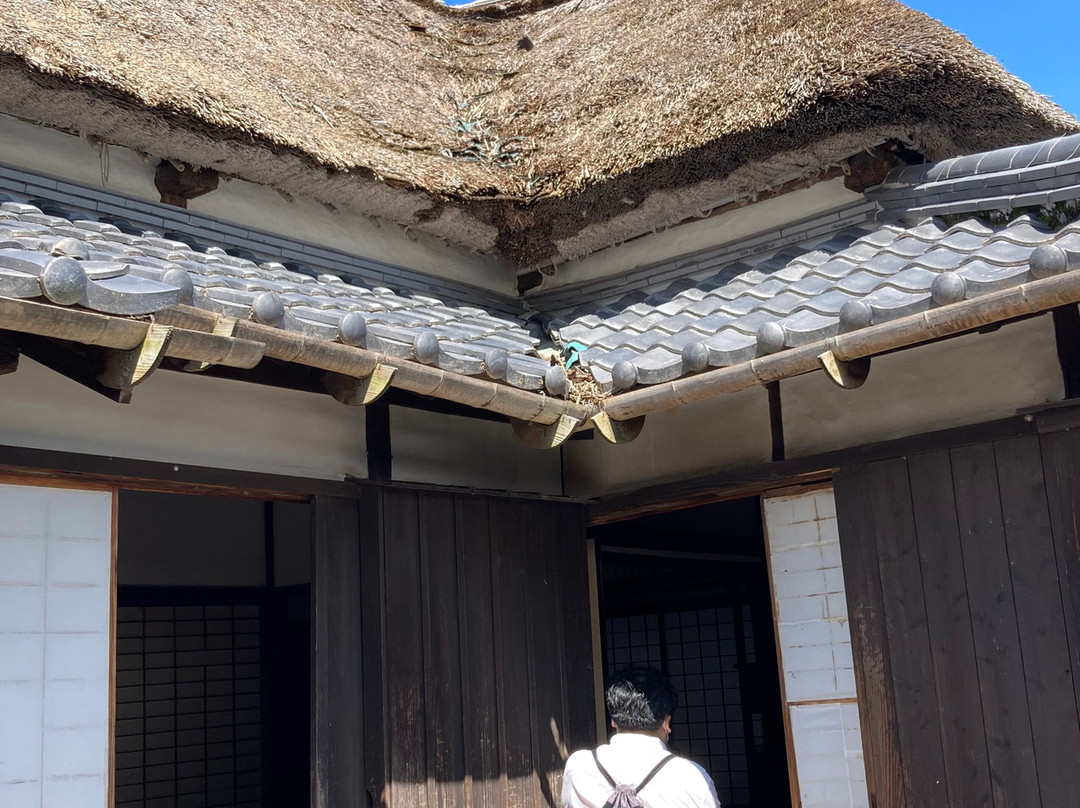 Samurai Houses景点图片