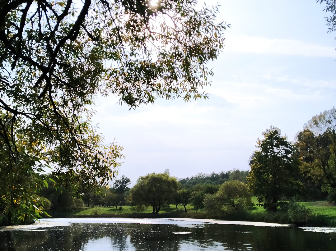 Viazynka branch of Yanka Kupala State Literary Museum景点图片