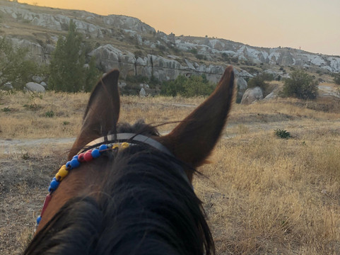 Lucky Horse Ranch-格雷梅必去景点