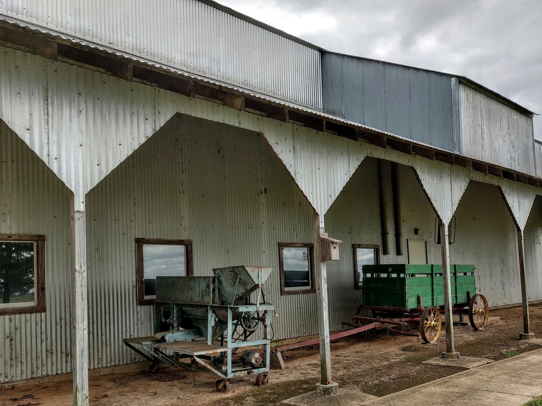 Louisiana State Cotton Museum景点图片
