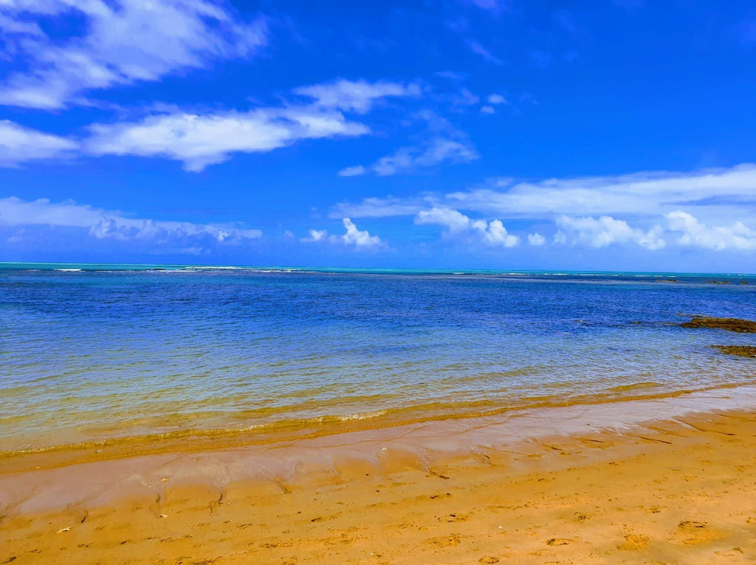 Coconut Experience-Porto Seguro必去景点