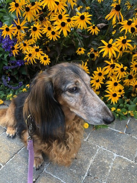 The Park On Main Hotel主图