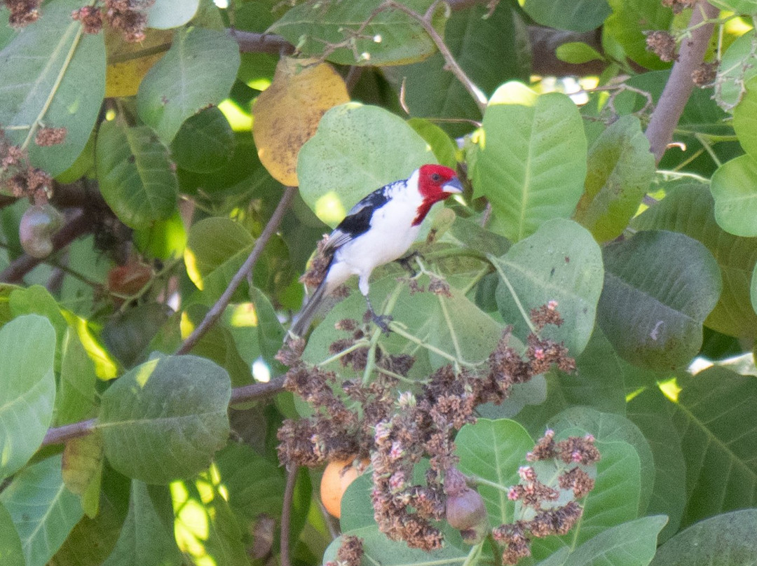 维拉卡兰格酒店主图