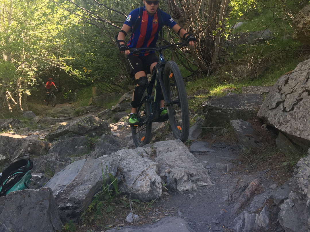 Tiki Bike景点图片