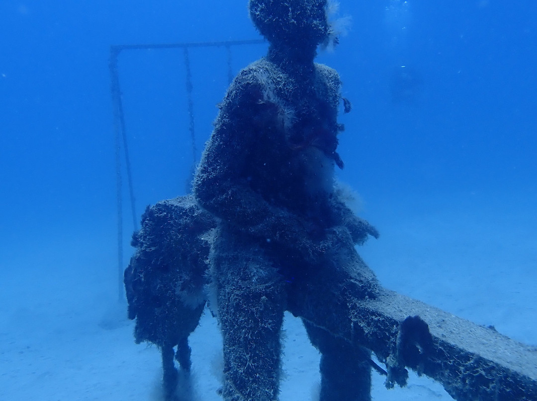 Museo Atlántico Underwater Museum景点图片