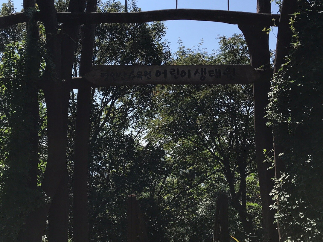 Yeonginsan-牙山市必去景点