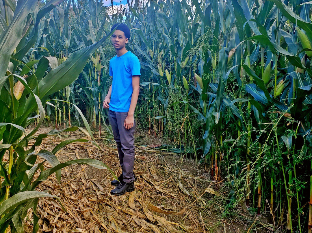 Round The Bend Farm-Kettleby必去景点