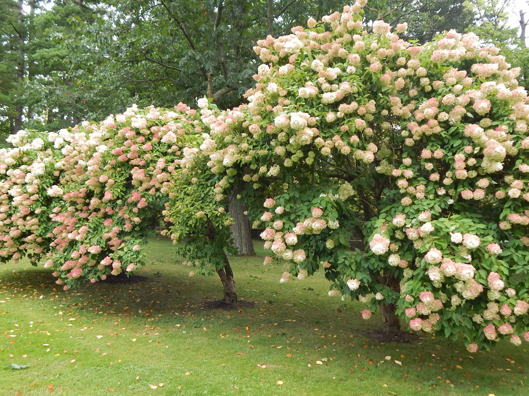 Four Chimneys Inn & Restaurant主图