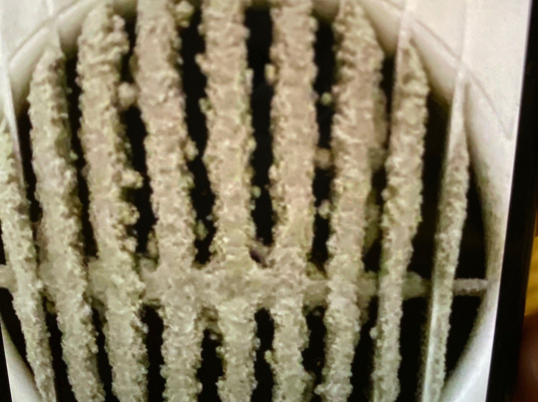 最佳西方乔治酒店主图