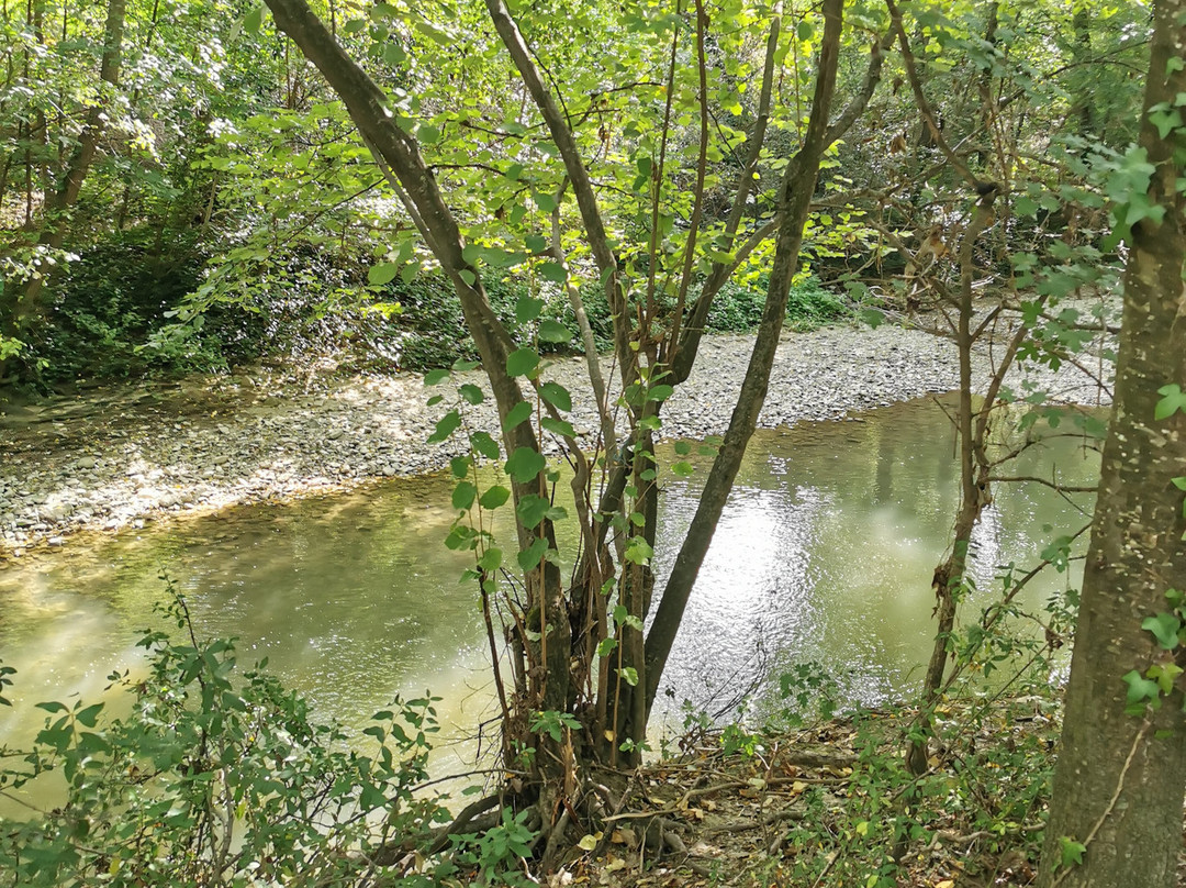 Parque Fluvial del Arga-潘普洛纳必去景点