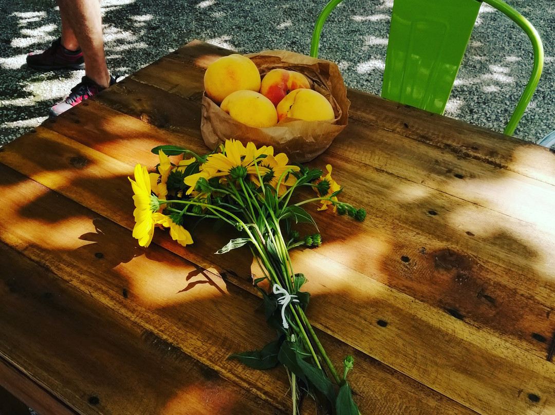 Artcava-Avinyonet del Penedes必去景点