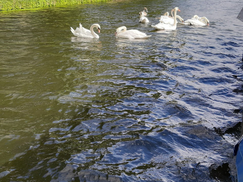 Camboats-剑桥必去景点