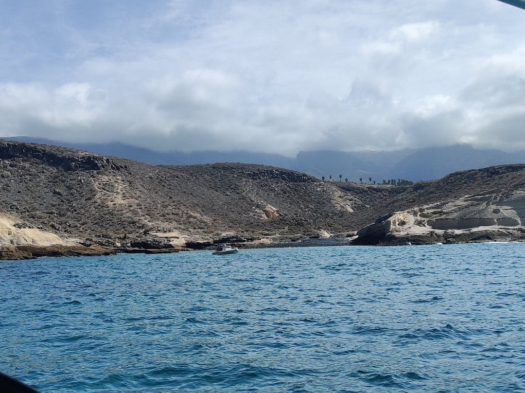 Kailani Whale Watching-奥德杰海岸必去景点