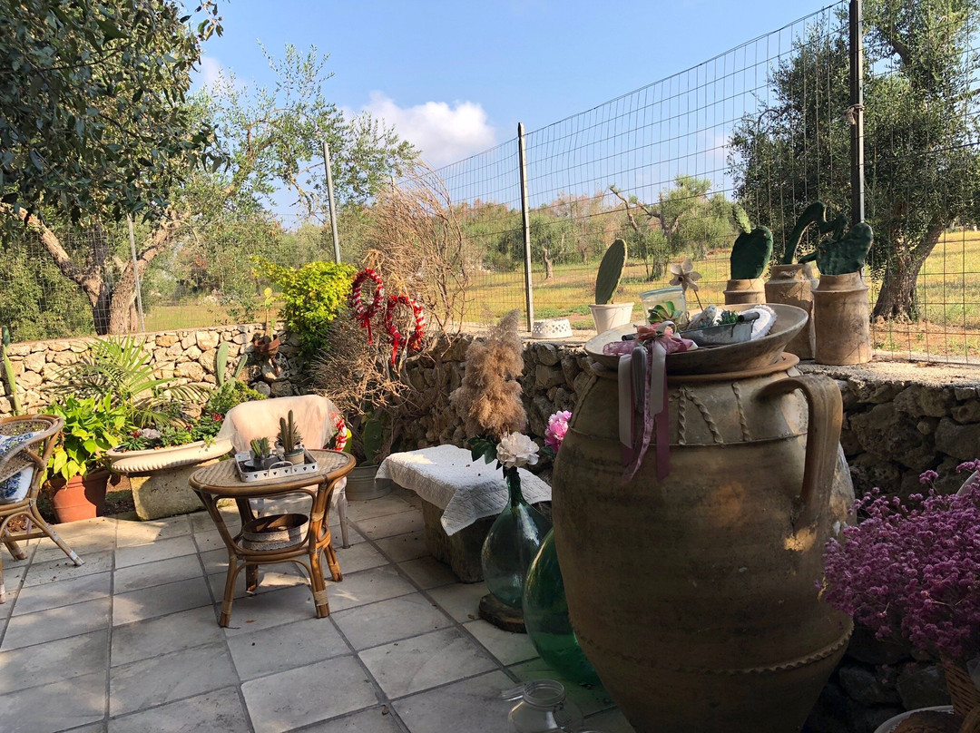 Alba Bed & Breakfast主图