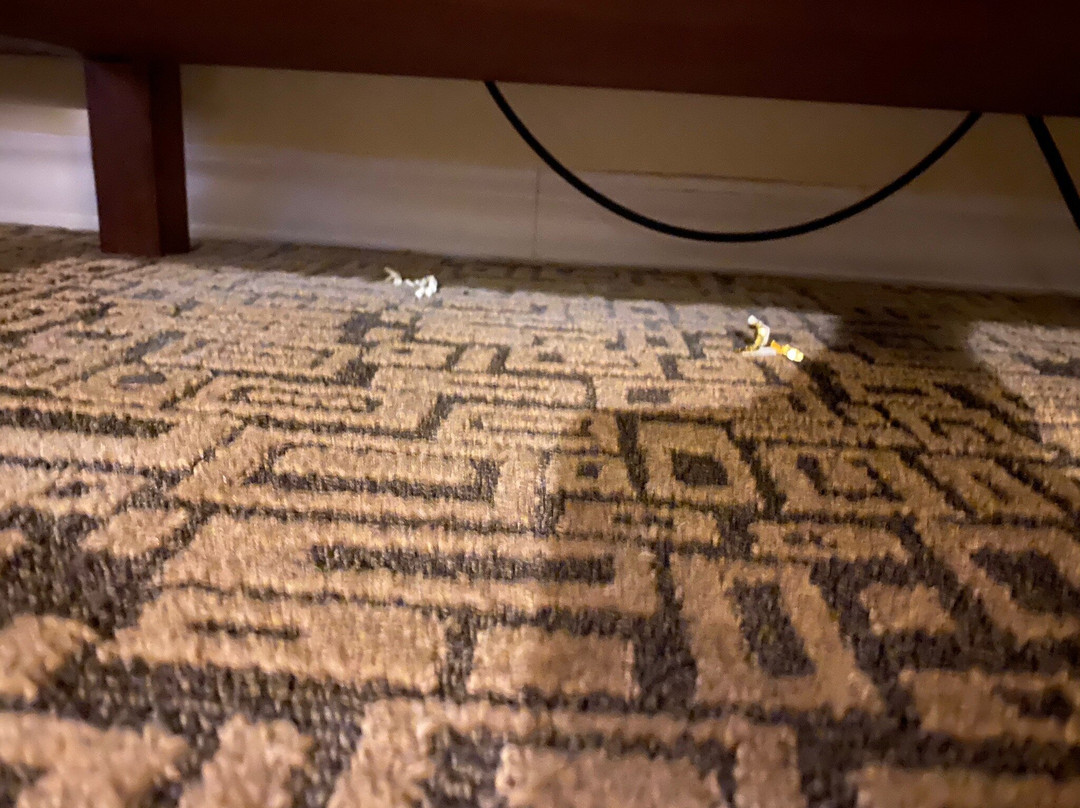 Doubletree By Hilton Collinsville - St. Louis主图