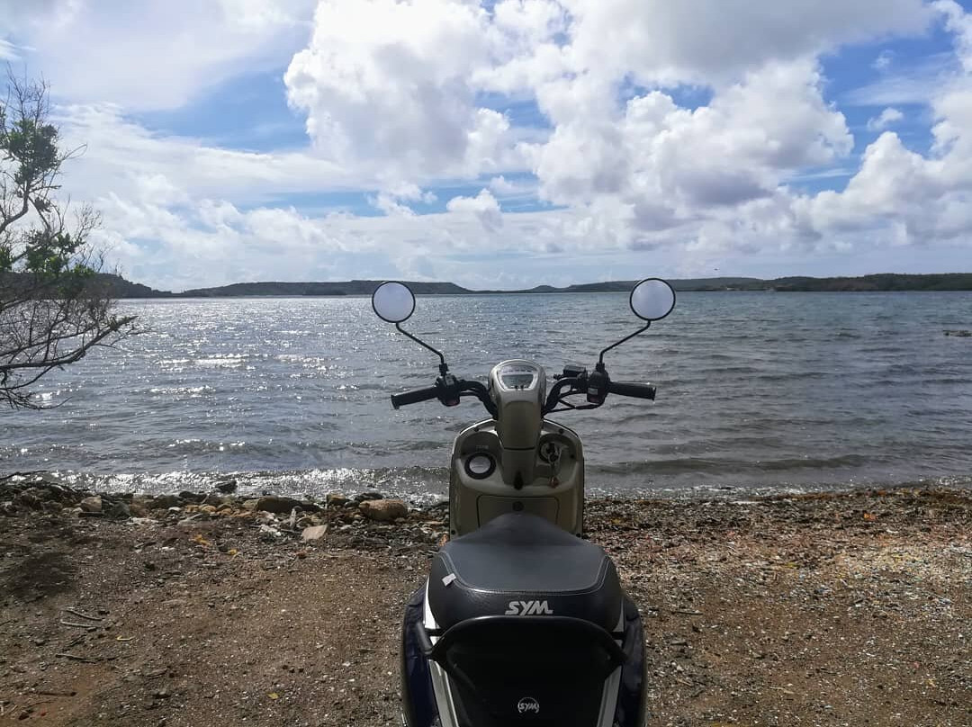 Scooter Huren Curacao景点图片