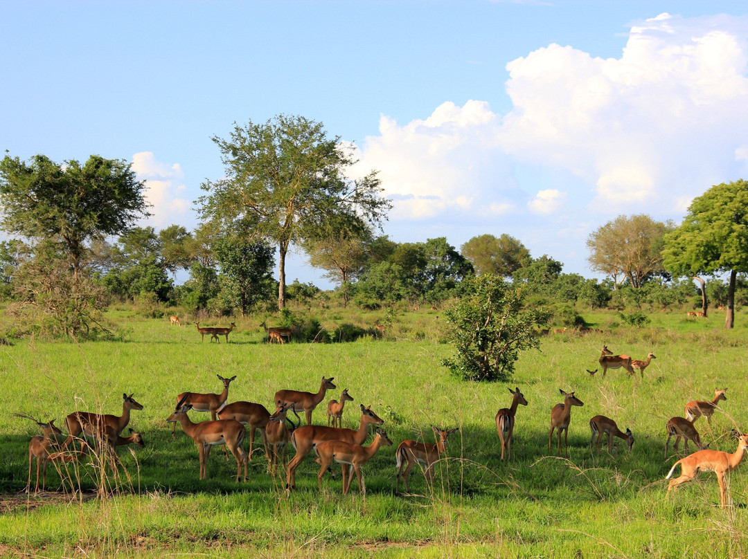 CONNECT AFRICAN SAFARIS-Dar es Salaam必去景点